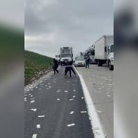 На трасу із вантажівки випали тисячі доларів: водії вибігали із авто, збирали та кричали від щастя