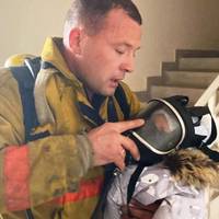 Боднар: “Рятувальники, ви круті! Дивіться яке фото. Воно сколихнуло всю мережу! Це наш український пожежник…”