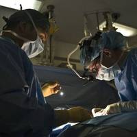 Рекордна ніч трансплантацій: українські хірурги провели шість пересадок органів