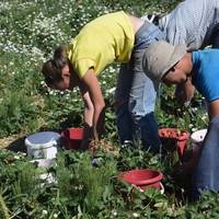 За своє життя я багато де працювала і багато чого бачила. І хочу сказати точно – працювати закордоном я більше не буду.