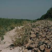Це диво: у Каховському водосховищі щосили вирує життя, – The Guardian