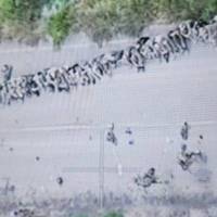 Чотири бійці ЗСУ полонили понад 40 солдатів РФ у Курській області