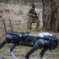 Собаки-роботи на фронті: як ЗСУ використовують новітні технології для небезпечних місій