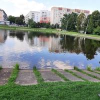 Галина знала, що її діти вже живуть окремо, тому купила запасну квартиру. Однак, не говорила про це нікому. Вирішила приїхати до України, привезти гостинці. І за столом почала розмову - хто з дітей пр