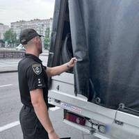 Моторошна знахідка в Миколаєві: стало відомо, куди везли 2 тонни заморожених собак