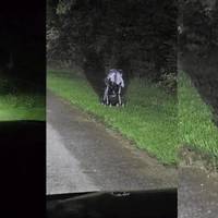 Якщо ви їдете вночі і бачите занедбаний візок на узбіччі дороги, ні в якому разі не виходьте з машини, і ось чому