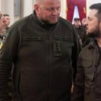 Залужний був проти наступу на Курщину, – Politico