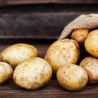 Ого😱Цієї зими картопля коштуватиме 50-55 грн за кілограм, а в реалістичному сценарії навіть досягати 60 грн, — ЗМІ