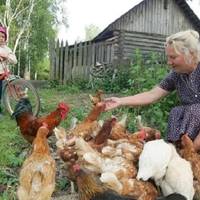 Відколи у будинку почала жити та переселенка – то в мами спокою нема. Марта звикла, що їй все носитимуть, наче королеві. Тому вирішила провчити нахабу!”