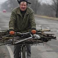 Українці можуть загриміти за ґрати, якщо зберігають вдома дрова без документів, — ЗМІ