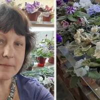 КВІТКОВА МАМА”: ЖІНКА З ЖИТОМИРА ЗІБРАЛА ПОНАД 400 ТИСЯЧ СОРТІВ ФІАЛОК У КВАРТИРІ