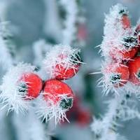 Температура В Україні Впаде До -10°: Синоптик Повідомив, Де Буде Найхолодніше