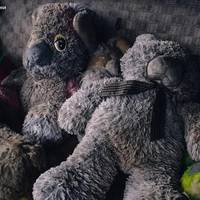 На Київщині В Пожежі Загинув Чотирьохрічний Хлопчик