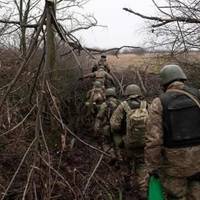 На Покровському Напрямку Зібрали “Врожай” Полонених