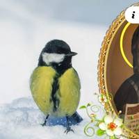 Чого не можна робити 14 лютого усім господарям, та про що просити у святого Кирила