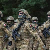 Скільки Відсотків Поляків Висловились Проти Відправки Військових В Україну: Результати Опитування