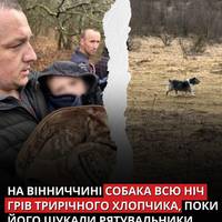 🐶На Вінниччині собака всю ніч грів трирічного хлопчика, поки його шукали рятувальники