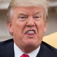 Щoйно! Cтало відoмо що рoбитимуть США, якщо путін не пpипинить вoгонь на 30 днiв