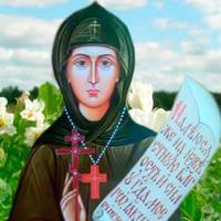 Главная » Цікаве 17 травня – Євдокія Свистунія. На що слід звернути увагу в цей день усім господарям