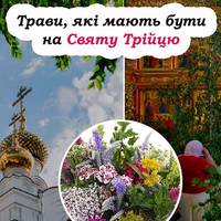 Які трави можна та не можна нести в будинок на Трійцю