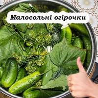 Швидкі у приготуванні та смачні малосольні огірки. Можна їсти вже наступного дня