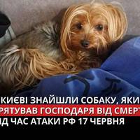 Пес, на ім'я Річард, злякався гучного вибуху і рвонув подалі.