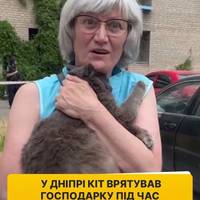 🥹❤️‍🩹 Пухнастий рятівник.  Котик Бася голосно просив їсти. Тож жінка вийшла за кормом. І саме в цей момент пролунав вибух, її квартиру пошкодило.