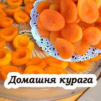Три способи сушіння кураги в домашніх умовах, щоб була смачна та корисна