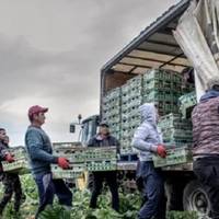 Будинки поpожніють! Сyсідня з Укpаїною деpжава стала лідеpом з мігpації до ЄС￼