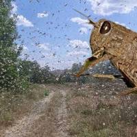 Укpаїну маcово атaкує саpана! Для яких облаcтей є загpоза