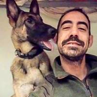🐶До Іспанії повернули пса загиблого в Україні воїна: вражаюча історія