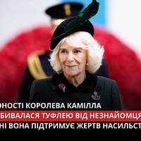 Інцидент стався у поїзді до лондонського вокзалу Паддінгтон – чоловік намагався чіплятися до майбутньої королеви-консорта.
