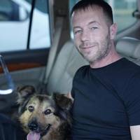 🐾💛 Щасливий фінал, на який чекала вся Україна: собака Джессі знову в родині