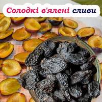 Солодкі в’ялені сливи. Два вдалі рецепти сушіння