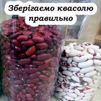 Як правильно зберігати квасолю, щоб жоден жучок не завівся. Секрети досвідчених господинь