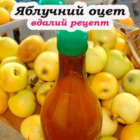 Рецепт приготування яблучного оцту. Встигніть запастися на увесь рік