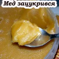 Що робити з медом, який зацукрився, та як повернути його в рідкий стан. Поради від пасічників