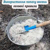 Як правильно вносити деревний попіл восени, та чого не варто робити