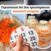 В які дні краще квасити капусту, щоб була смачною та хрумкою. календар на жовтень і листопад