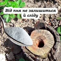 Ефективний спосіб видалення пнів без зусиль. І не треба нічого корчувати