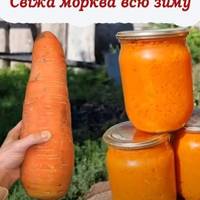 Новий спосіб заготівля моркви на зиму, щоб була завжди під рукою