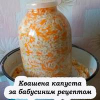 Квашена капуста з хрускотом: простий рецепт на зиму