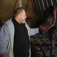 😢 Він ішов крізь вогонь, щоб урятувати друзів: херсонець виніс коней із Антонівки.