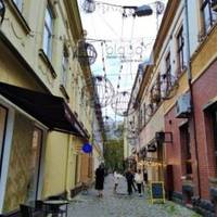 Та нехай до мене лише підійде той інспектор! Я йому покажу! Якою мовою хочу, такою й говорю!