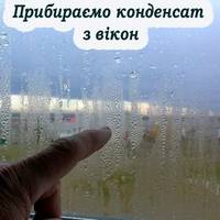 Чому з’являється конденсат, та що робити, щоб більше не бачити його на своїх вікнах