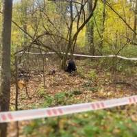 Вечipня звicтка сколuхнула Укpаїну. На Франкiвщині виявили тiло війcькового