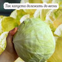 Як зберегти капусту хрусткою та свіжою до весни: дієвий метод