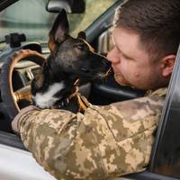 💙 Віктор і пес Сімік: історія про життя, яке вдалося врятувати серед вибухів