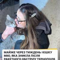 🐱«9 днів я шукала її кожного дня…», - нарешті кішка Мія, яка зникла після ракетного обстрілу Тернополя, знайшлась!