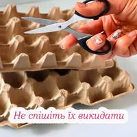 5 способів використати картонні лотки для яєць вдома. Вони ще принесуть багато користі